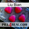 Liu Bian 13